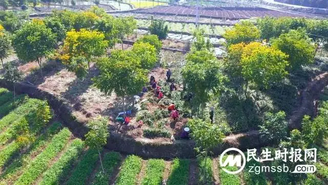 找准“路子” 夯实“家底” ！湘潭市“三管齐下”发展壮大村级集体经济