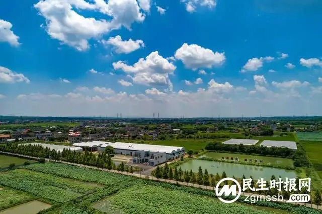 找准“路子” 夯实“家底” ！湘潭市“三管齐下”发展壮大村级集体经济