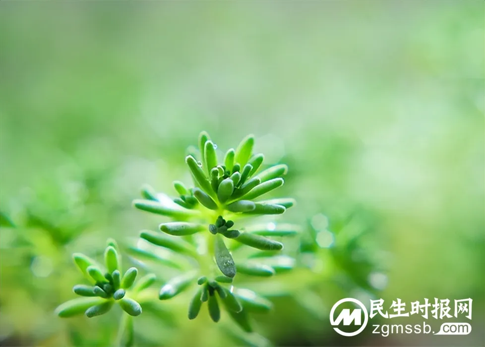 湘机中学清明假期告全体师生家长书 湘机中学清明假期告全体师生家长书