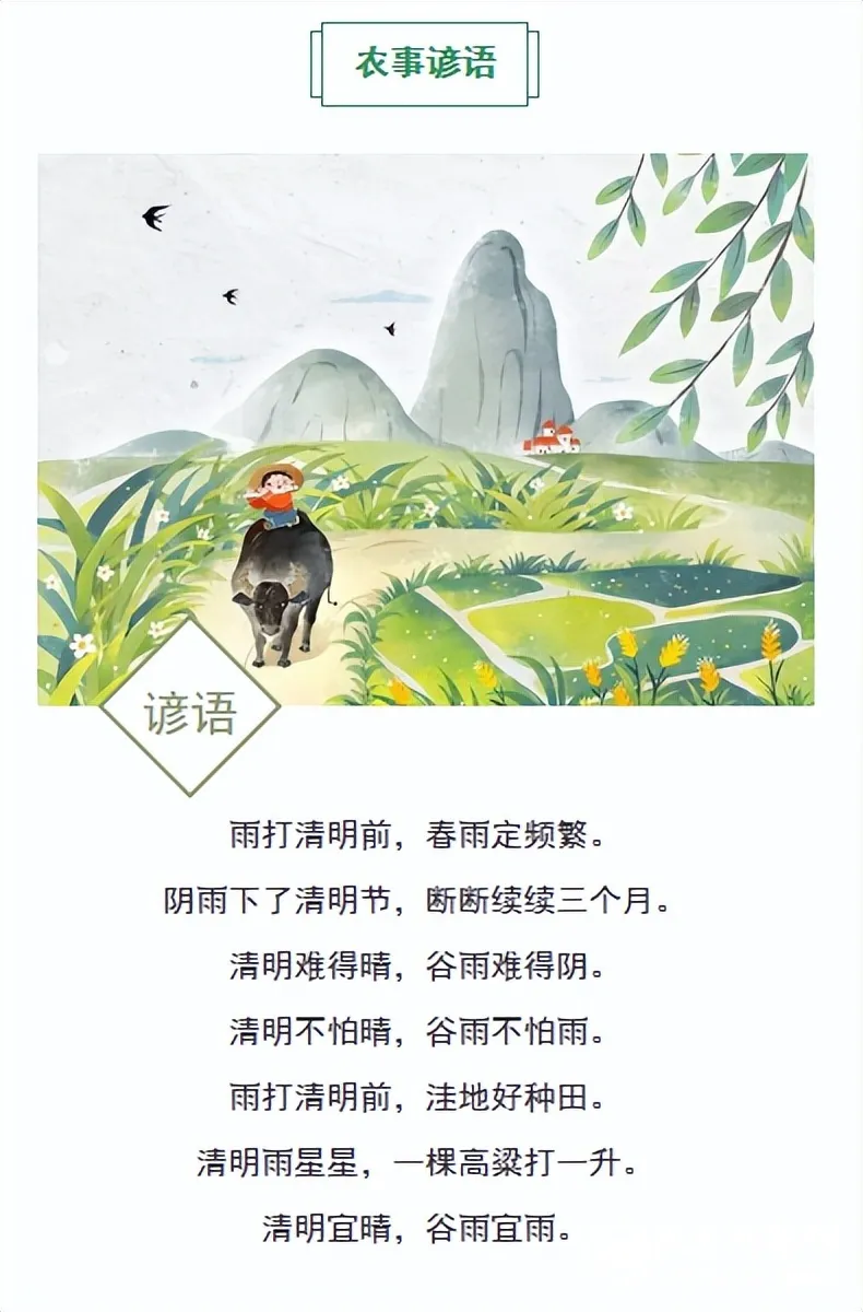 湘机中学清明假期告全体师生家长书 湘机中学清明假期告全体师生家长书