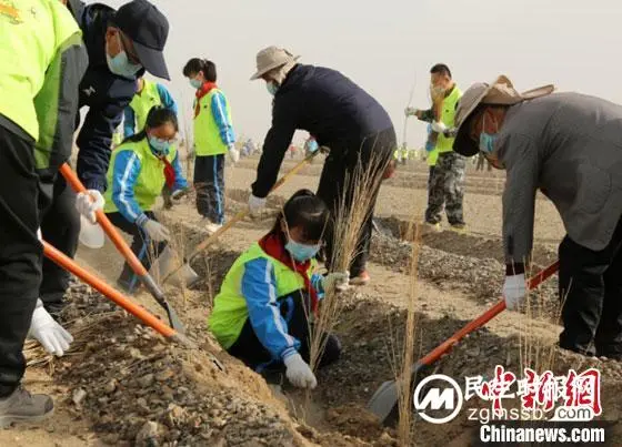 甘肃敦煌推“互联网+义务植树”:为戈壁荒漠“披绿”注新力量 甘肃敦煌推“互联网+义务植树”:为戈壁荒漠“披绿”注新力量