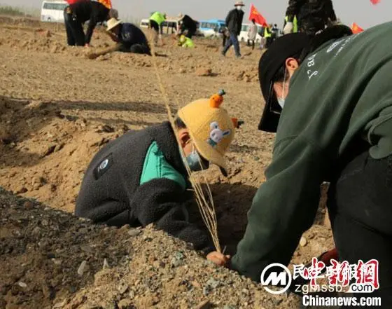 甘肃敦煌推“互联网+义务植树”:为戈壁荒漠“披绿”注新力量 甘肃敦煌推“互联网+义务植树”:为戈壁荒漠“披绿”注新力量