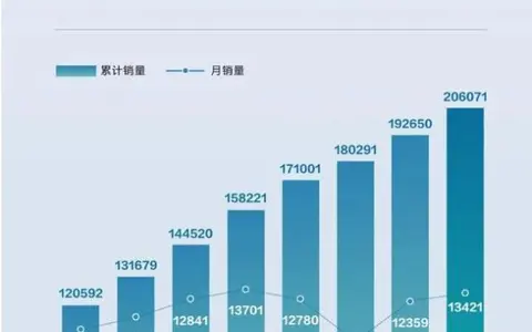 比亚迪汉累计销量突破20万，一车战群雄，改变豪车市场格局