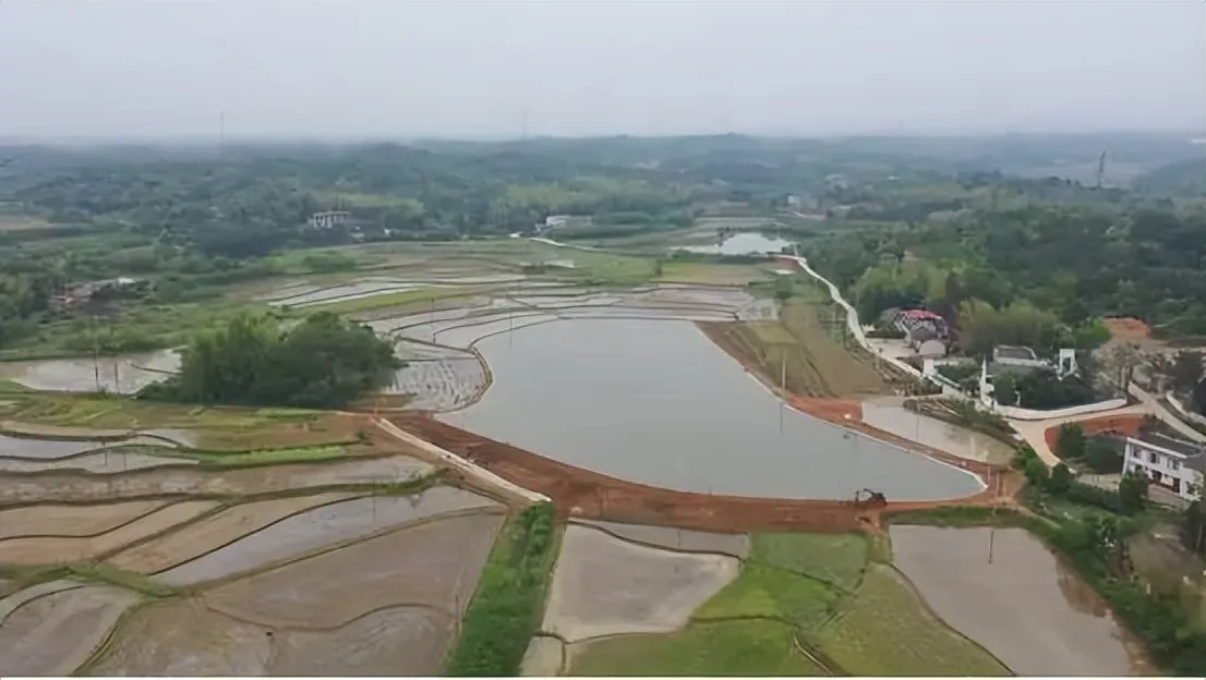 湘潭县“硬核”治理耕地抛荒