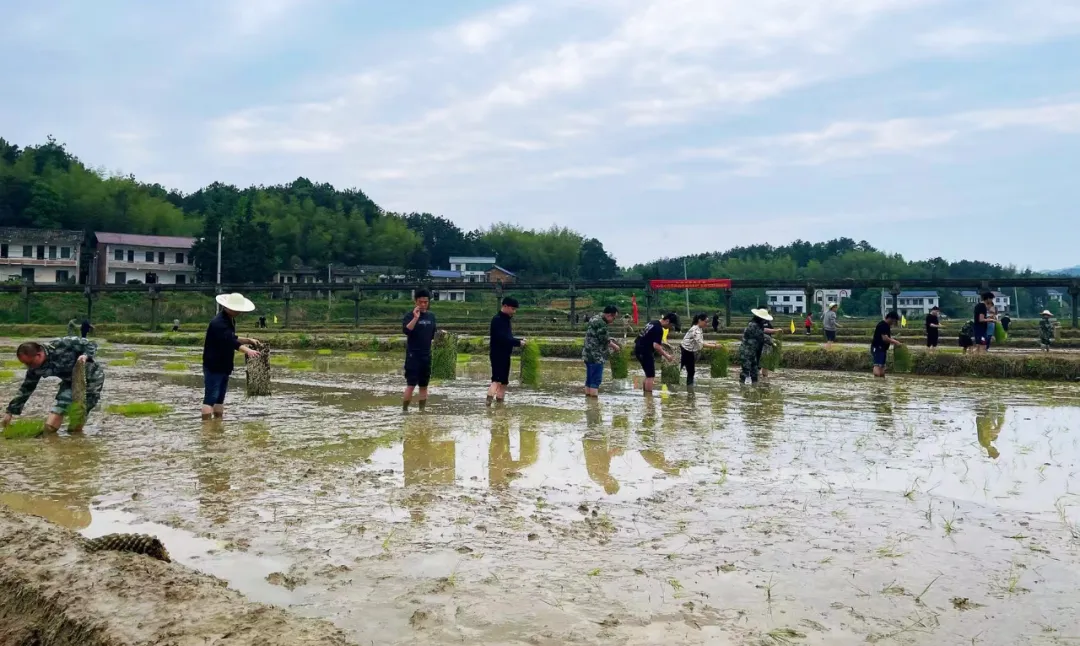 湘潭县“硬核”治理耕地抛荒