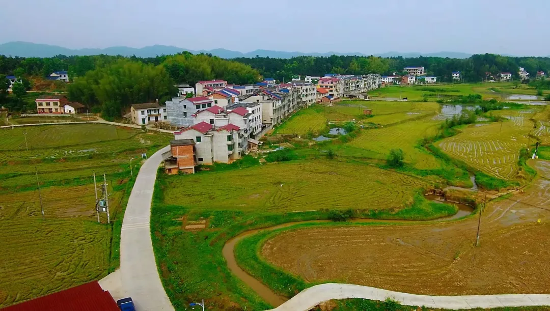 湘潭县“硬核”治理耕地抛荒