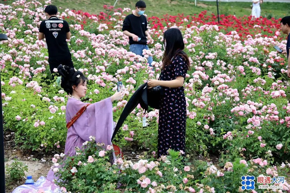 自动草稿