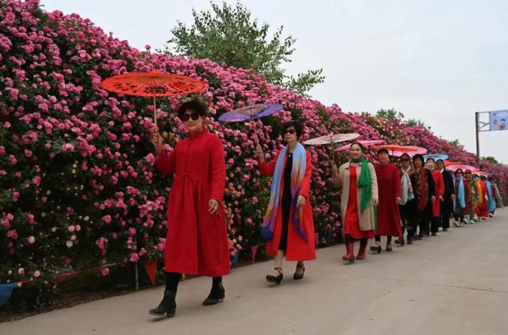 河南获嘉:擦亮“花木之乡”名片 绘出乡村振兴新画卷