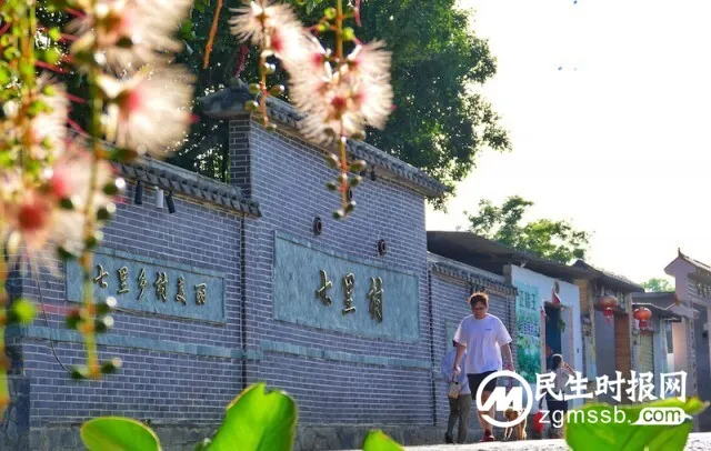 海南儋州:玉蕊花开 如诗如画 海南儋州:玉蕊花开 如诗如画