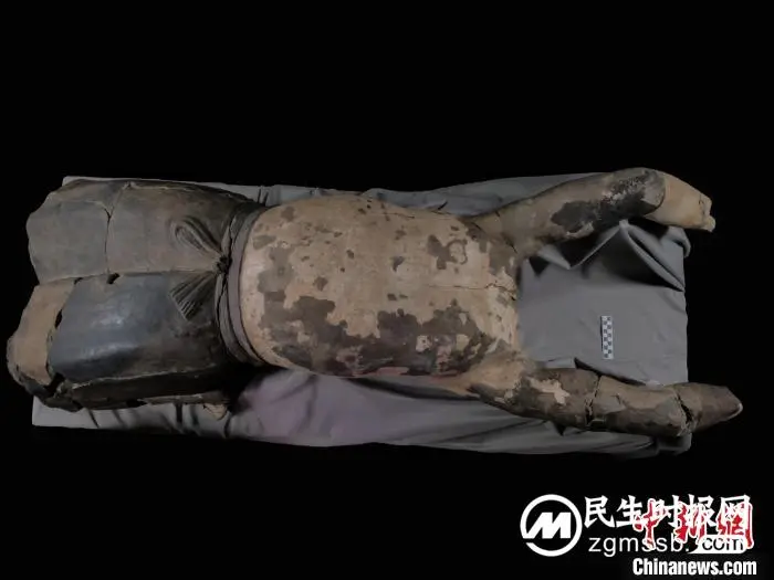秦始皇帝陵博物院首次公布修复完成的“仰卧俑” 秦始皇帝陵博物院首次公布修复完成的“仰卧俑”