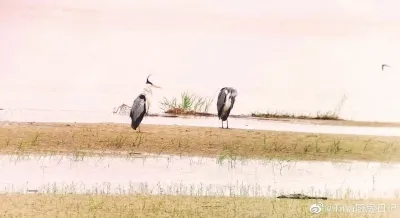 透过大V的镜头看风景 千万网友对黄河“动了心” 透过大V的镜头看风景 千万网友对黄河“动了心”