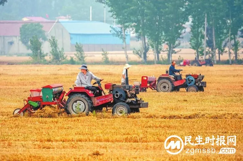 全省夏播面积超七成 全省夏播面积超七成