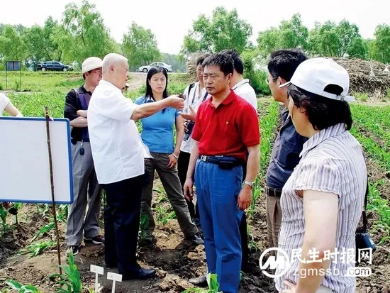 黑土地告急！事关14亿人的饭碗
