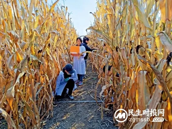 黑土地告急！事关14亿人的饭碗