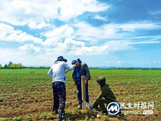 黑土地告急！事关14亿人的饭碗