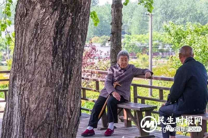 豫南一山村“美颜”后成了这个样子,绿色产业聚人气旅游开始升温 豫南一山村“美颜”后成了这个样子,绿色产业聚人气旅游开始升温