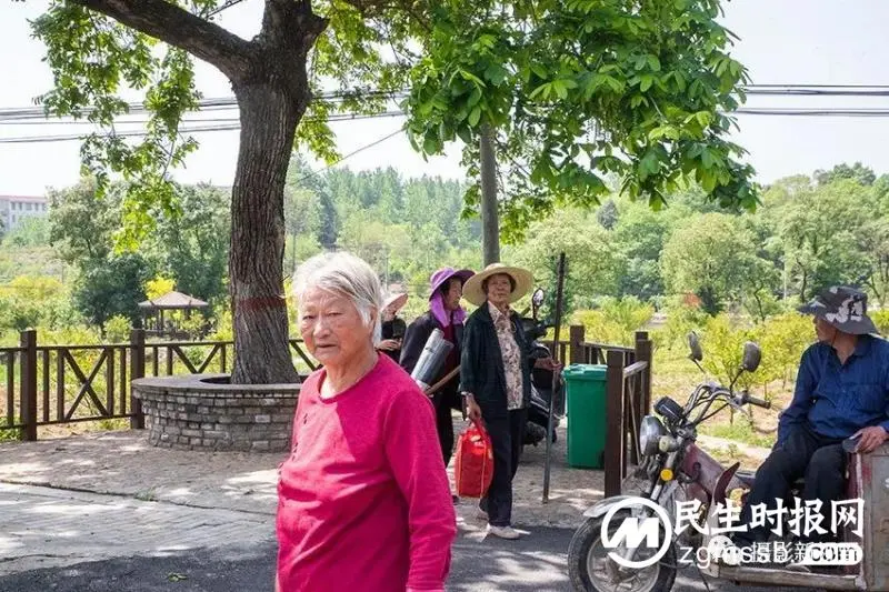 豫南一山村“美颜”后成了这个样子,绿色产业聚人气旅游开始升温 豫南一山村“美颜”后成了这个样子,绿色产业聚人气旅游开始升温