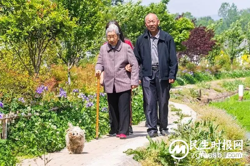 豫南一山村“美颜”后成了这个样子,绿色产业聚人气旅游开始升温 豫南一山村“美颜”后成了这个样子,绿色产业聚人气旅游开始升温