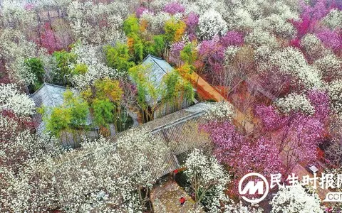 花海泛波春意浓