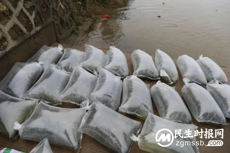 湘潭县法院：增殖放流，用“天平红”守护“生态绿”