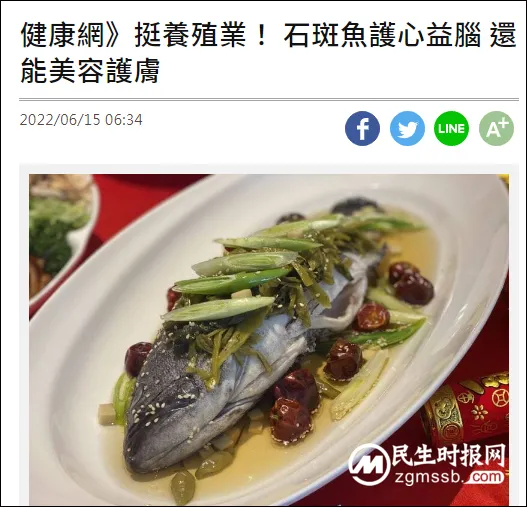 又要“掏钱挺石斑”?这次台湾人买不下去了… 又要“掏钱挺石斑”?这次台湾人买不下去了…