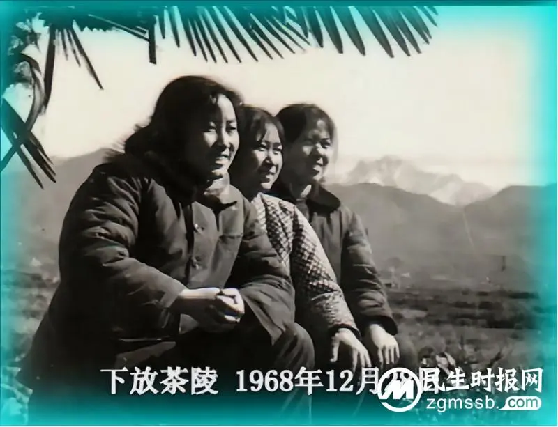 潭中芳华 | 情系潭中 难忘的校园生活
