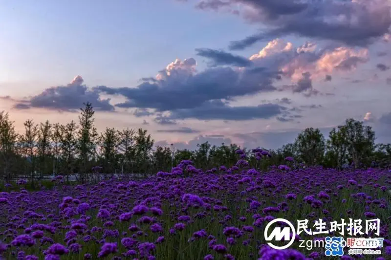 这云有点不正经，强对流天气出美景