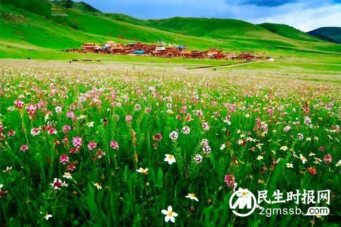 这个网红局长，满足了人们对侠客的全部想象