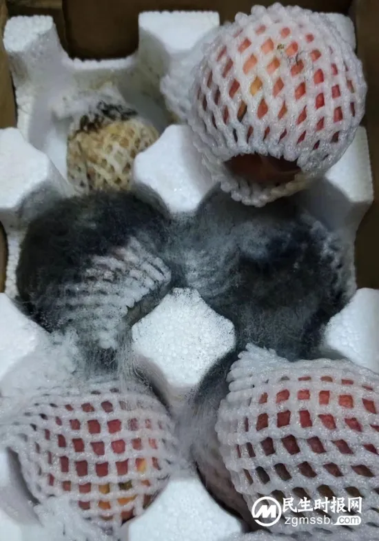外资大撤退，同行都想学！新东方带货爆火能否复制