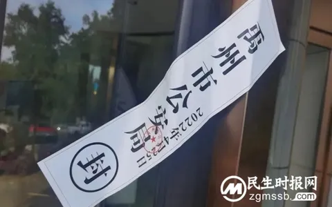 一个红码是如何引出400亿元惊天大案的？