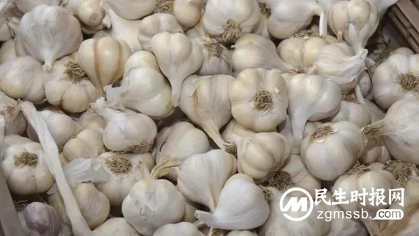 小麦大蒜能抵首付!河南两县城为卖楼出奇招,16天收大蒜86万斤 小麦大蒜能抵首付!河南两县城为卖楼出奇招,16天收大蒜86万斤