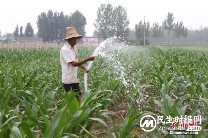 河南的旱情，为何引关注？