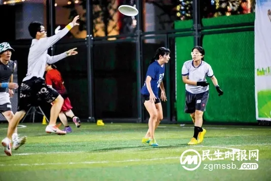 飞盘火遍全国，玩狗不如“当狗”？
