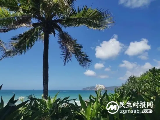 多地调整核酸检测或取消查验核酸 暑假能顺利出游吗?