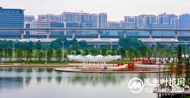 大湾区不起眼的街道，何以成为新晋“顶流”？