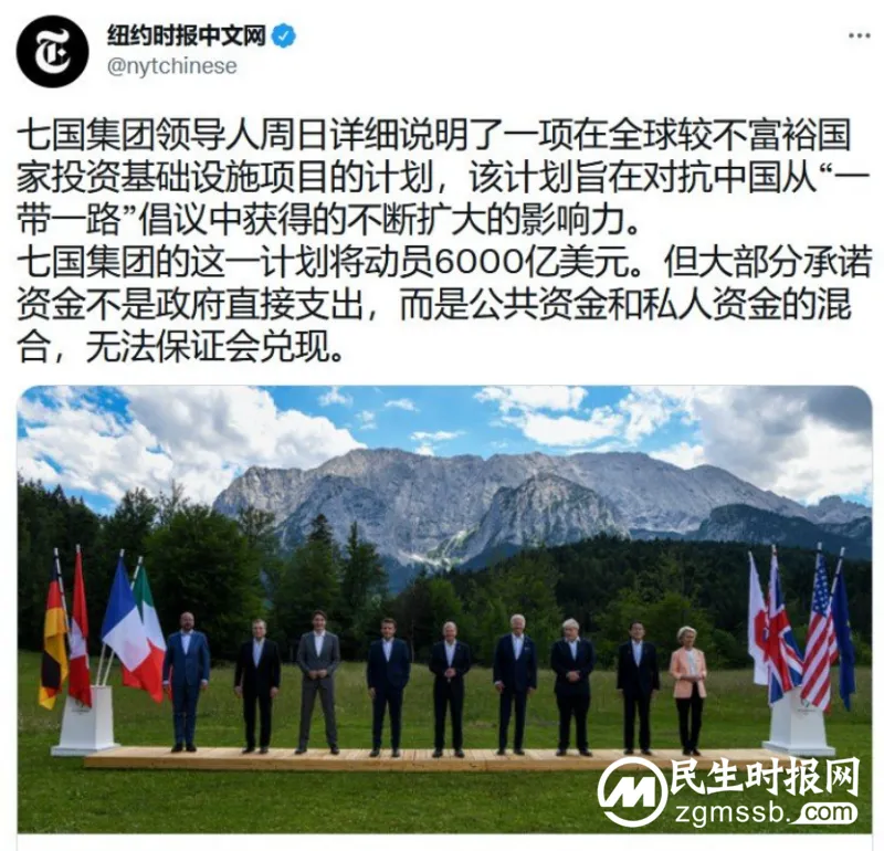她刚说“取代中国”，发展中国家网民就不干了