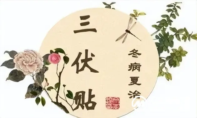 三伏天贴三伏贴,2022年7月火热预定中…… 三伏天贴三伏贴,2022年7月火热预定中……