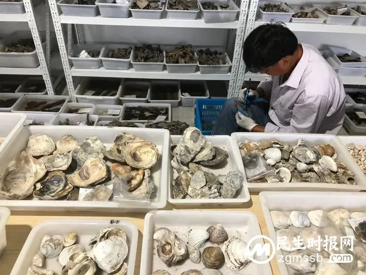 全世界“最轻最小”的“镇馆之宝”？考古探源长三角