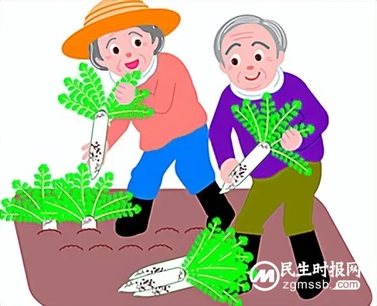 【老年健康宣传周】改善老年营养,促进老年健康 【老年健康宣传周】改善老年营养,促进老年健康