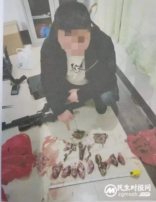 男子非法狩猎“野兔”“斑鸠” 湘潭县法检“两长”出庭 以司法守护生态环境