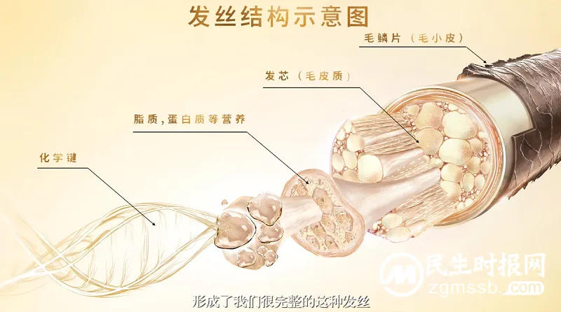 潘婷携手新华网共同打造《科学护发金字塔》——引领消费者科学护发新风向 潘婷携手新华网共同打造《科学护发金字塔》——引领消费者科学护发新风向
