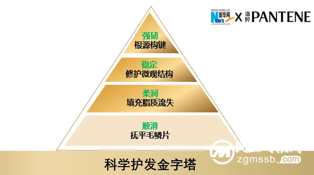 潘婷携手新华网共同打造《科学护发金字塔》——引领消费者科学护发新风向 潘婷携手新华网共同打造《科学护发金字塔》——引领消费者科学护发新风向