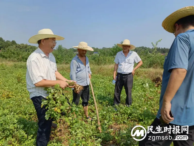 防旱抗旱进行时 | 让庄稼喝上“及时水” 抗旱保收,湘潭这样干! 防旱抗旱进行时 | 让庄稼喝上“及时水” 抗旱保收,湘潭这样干!
