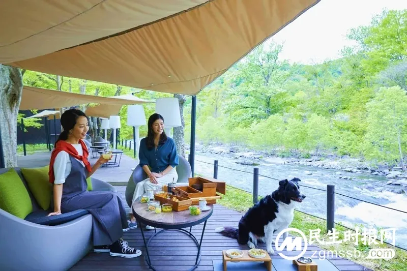 带上宠物去度假 - 星野集团“和爱犬一起旅行”活动 带上宠物去度假 - 星野集团“和爱犬一起旅行”活动