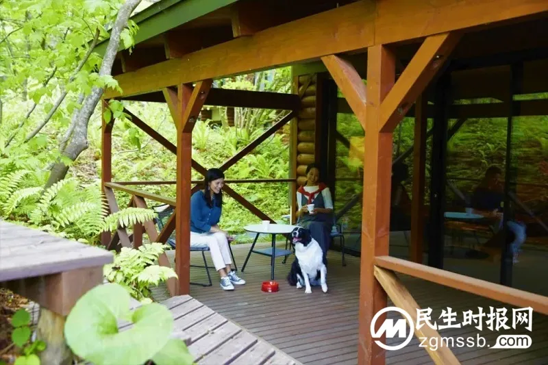 带上宠物去度假 - 星野集团“和爱犬一起旅行”活动 带上宠物去度假 - 星野集团“和爱犬一起旅行”活动
