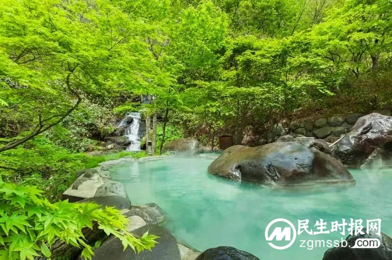 带上宠物去度假 - 星野集团“和爱犬一起旅行”活动 带上宠物去度假 - 星野集团“和爱犬一起旅行”活动