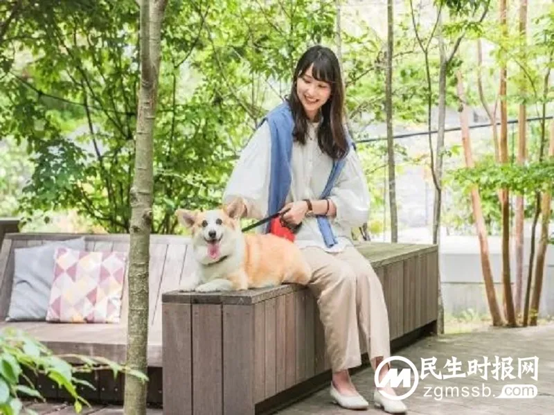 带上宠物去度假 - 星野集团“和爱犬一起旅行”活动 带上宠物去度假 - 星野集团“和爱犬一起旅行”活动
