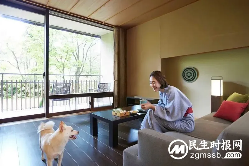 带上宠物去度假 - 星野集团“和爱犬一起旅行”活动 带上宠物去度假 - 星野集团“和爱犬一起旅行”活动