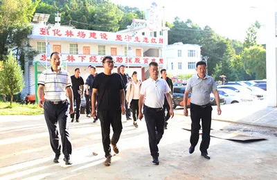 中国保利集团调研组赴巧家县国有林场考察调研