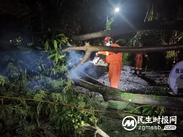 突降暴雨导致城市内涝 消防迅速开展救援